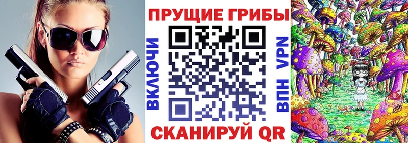 Псилоцибиновые грибы Cubensis  закладки  Салехард 